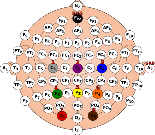 P300 electrodes